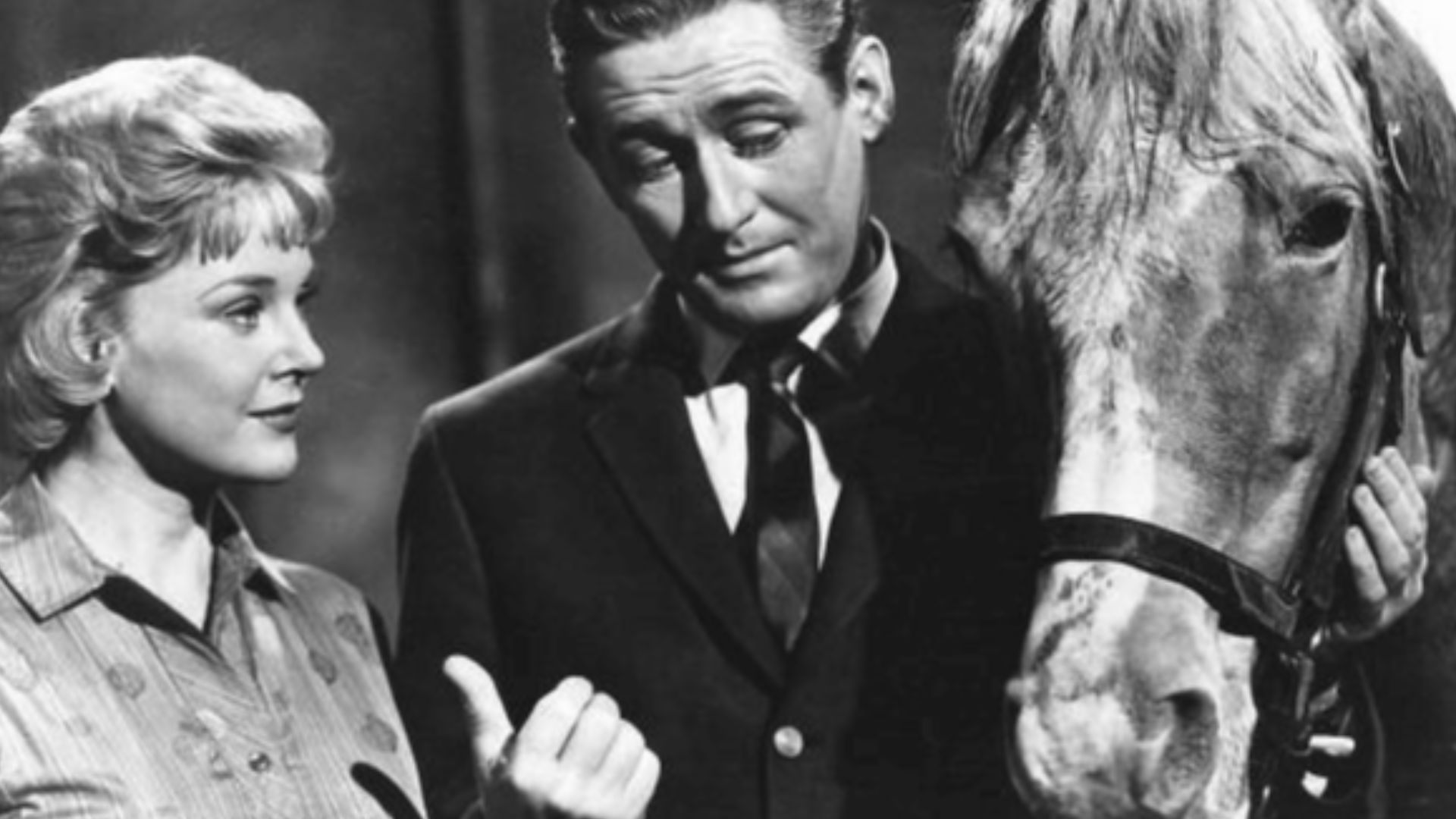 Photo of the main cast of the television program Mister Ed. From left-Connie Hines as Carole Post, Alan Young as Wilbur Post.