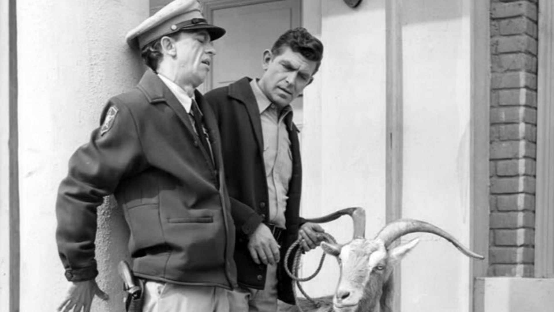Photo of Andy Griffith and Don Knotts from the television program The Andy Griffith Show.  In this episode, Barney becomes extremely stressed when he and Andy have to deal with a goat that has eaten dynamite.