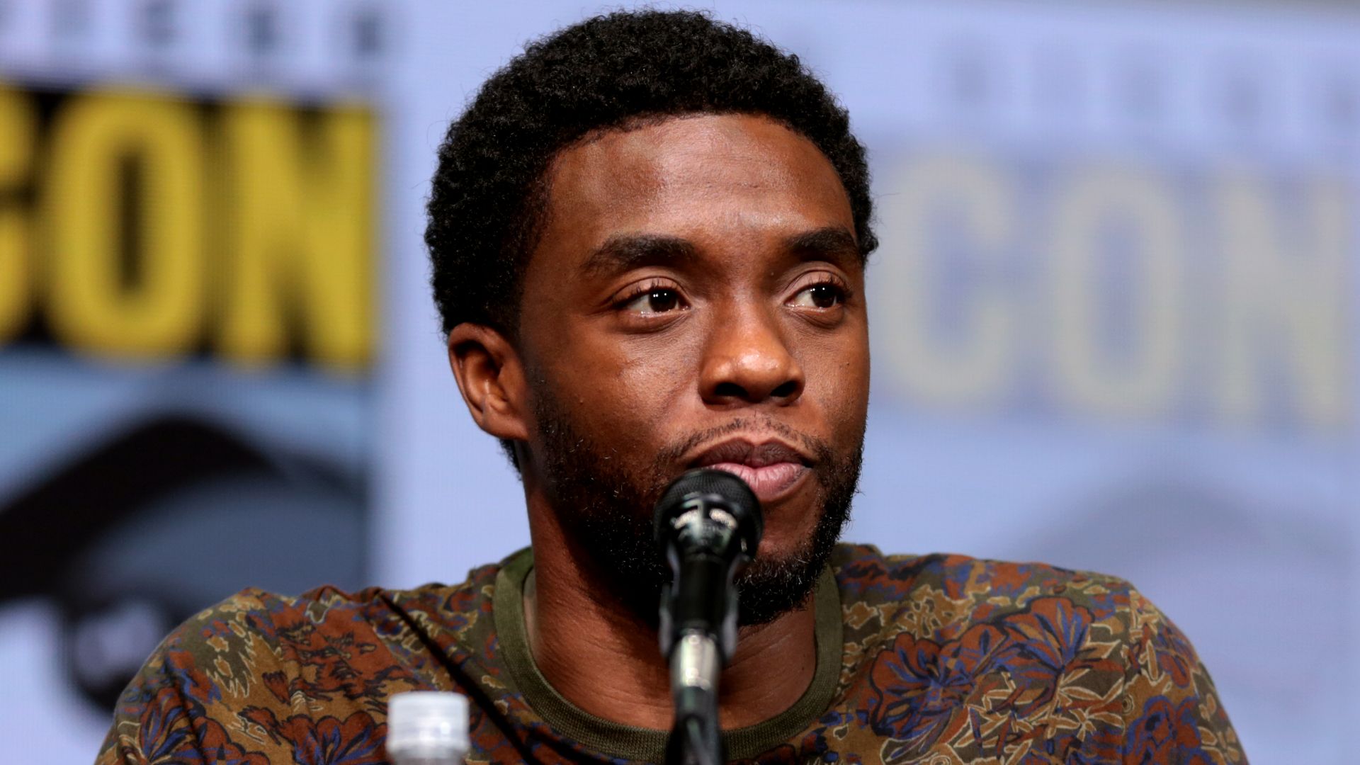 Chadwick Boseman speaking at the 2017 San Diego Comic-Con International in San Diego, California.
