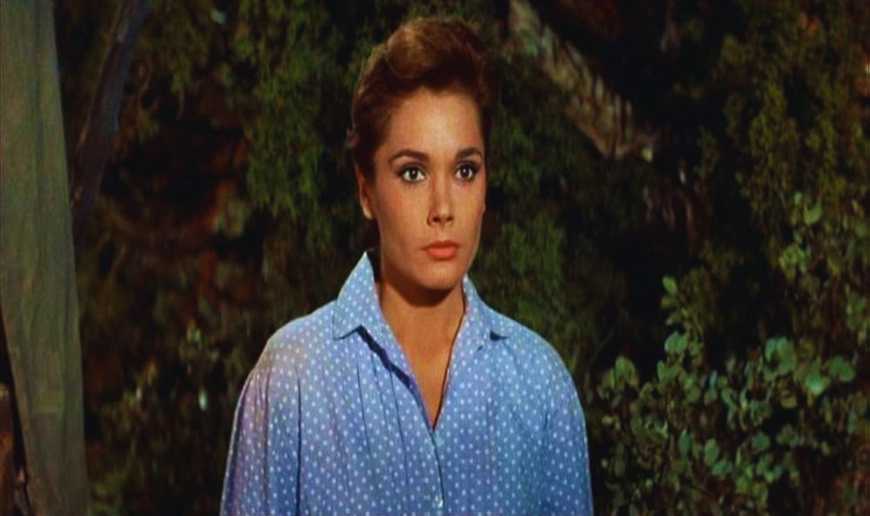 Screenshot from The Last Wagon (1956)
