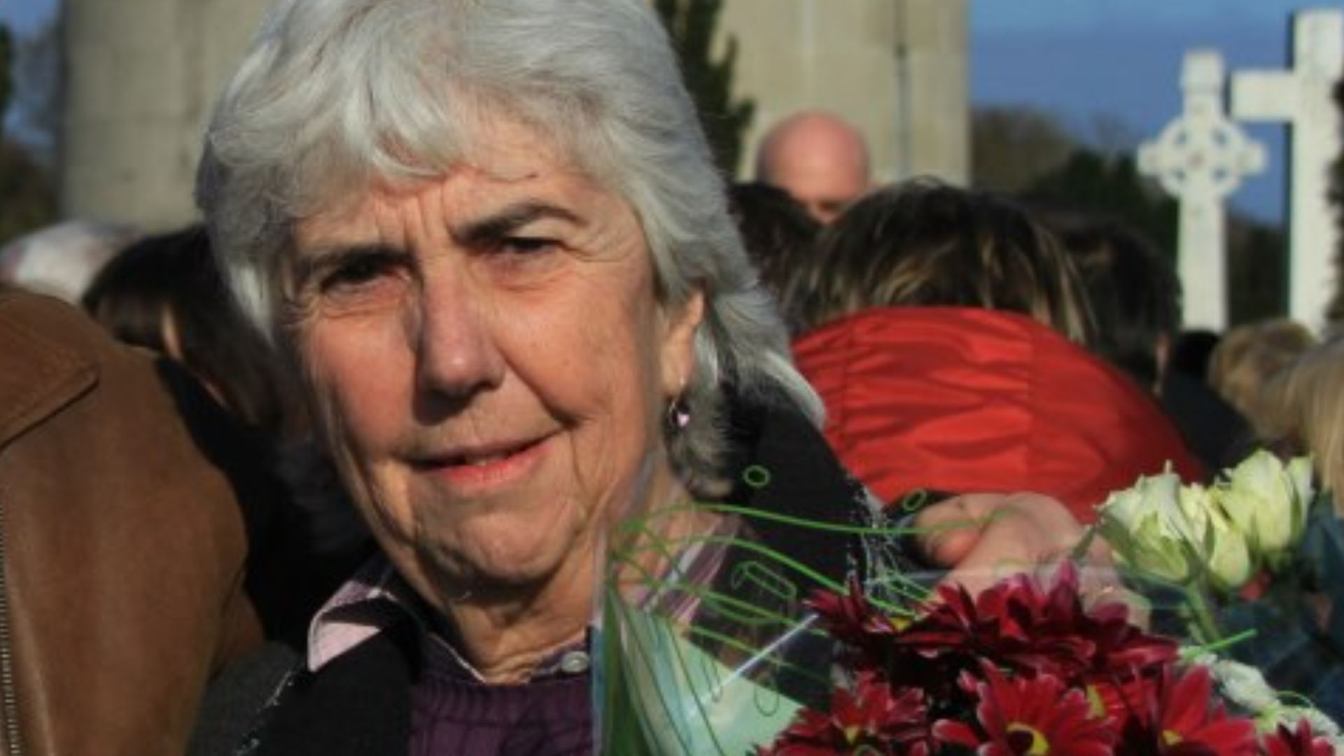 Maureen O'Sullivan (politician) in 2013
