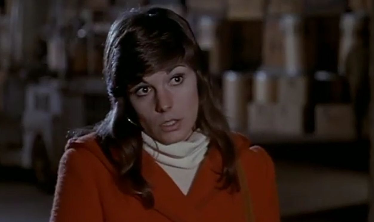 Screenshot from McMillan & Wife (1971–1977)
