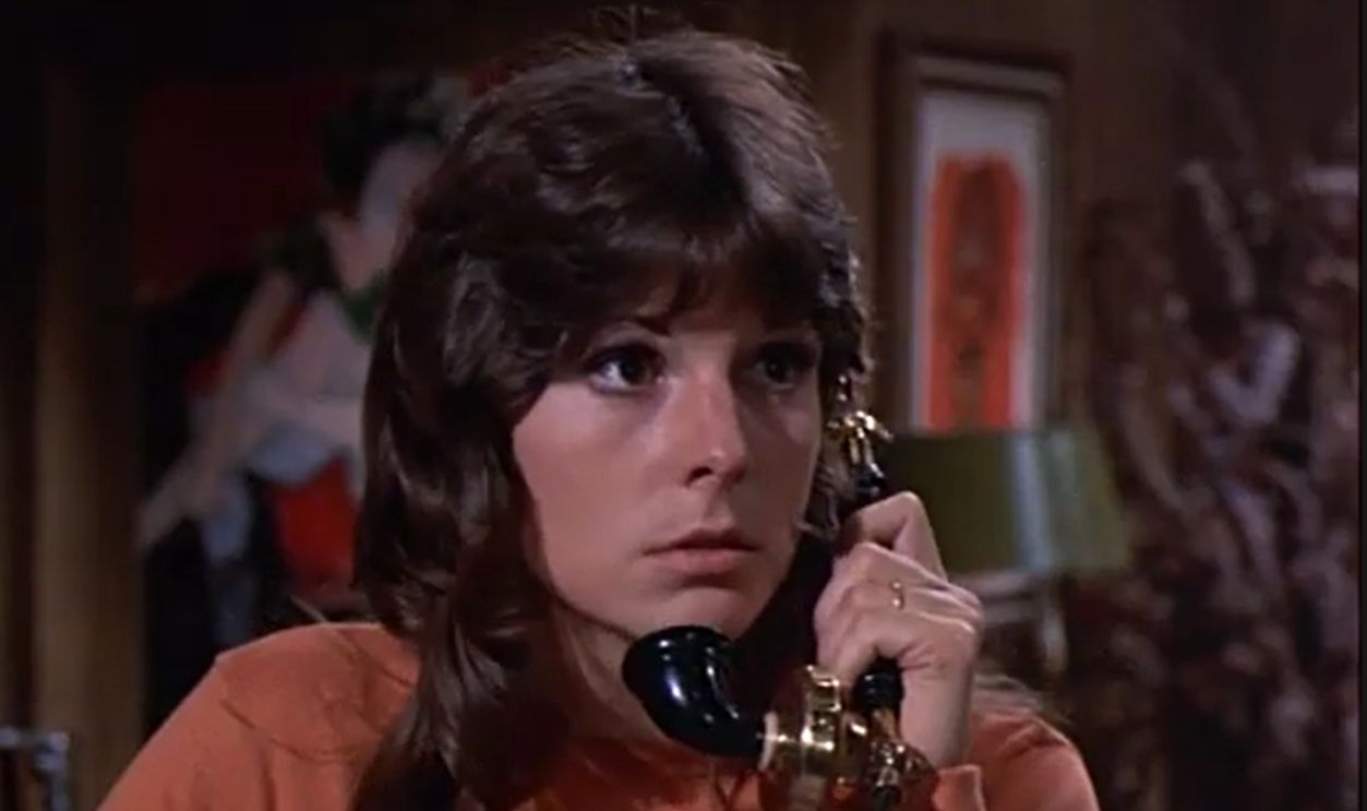Screenshot from McMillan & Wife (1971–1977)