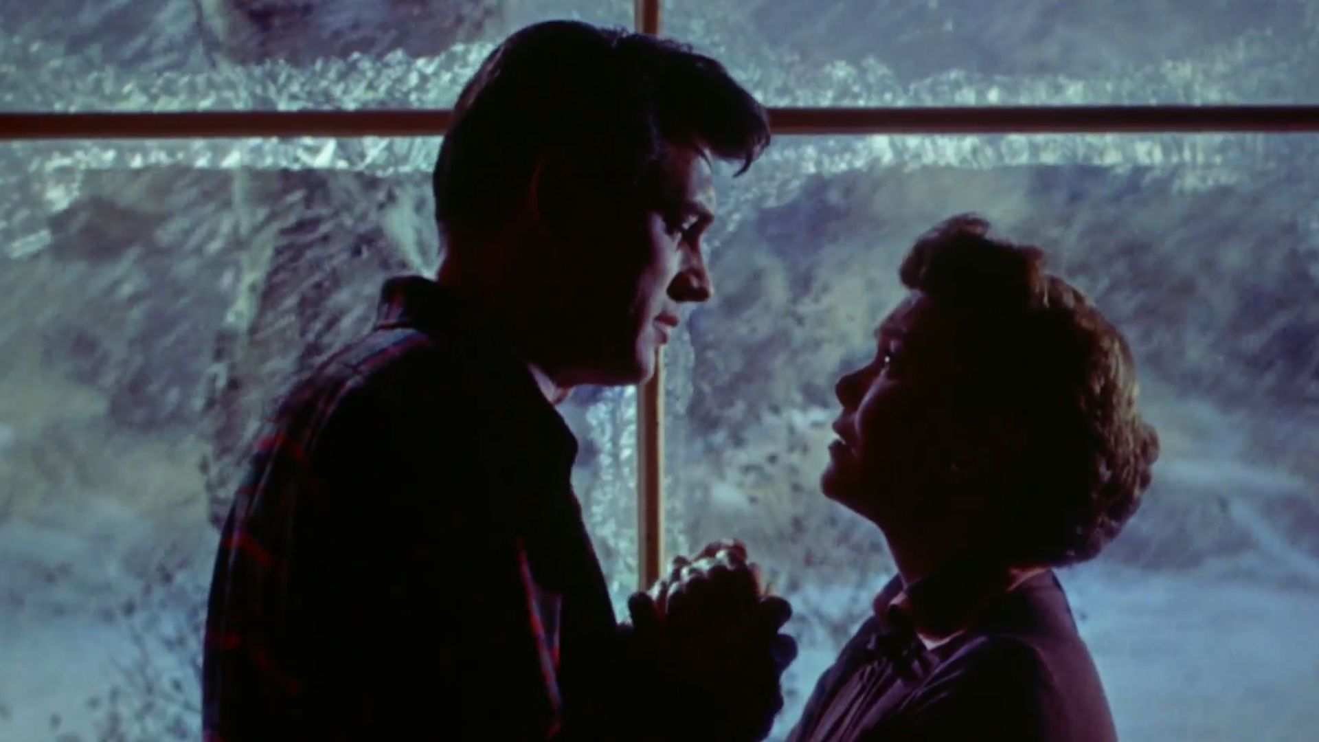 Rock Hudson & Jane Wyman in All That Heaven Allows - trailer (cropped screenshot)