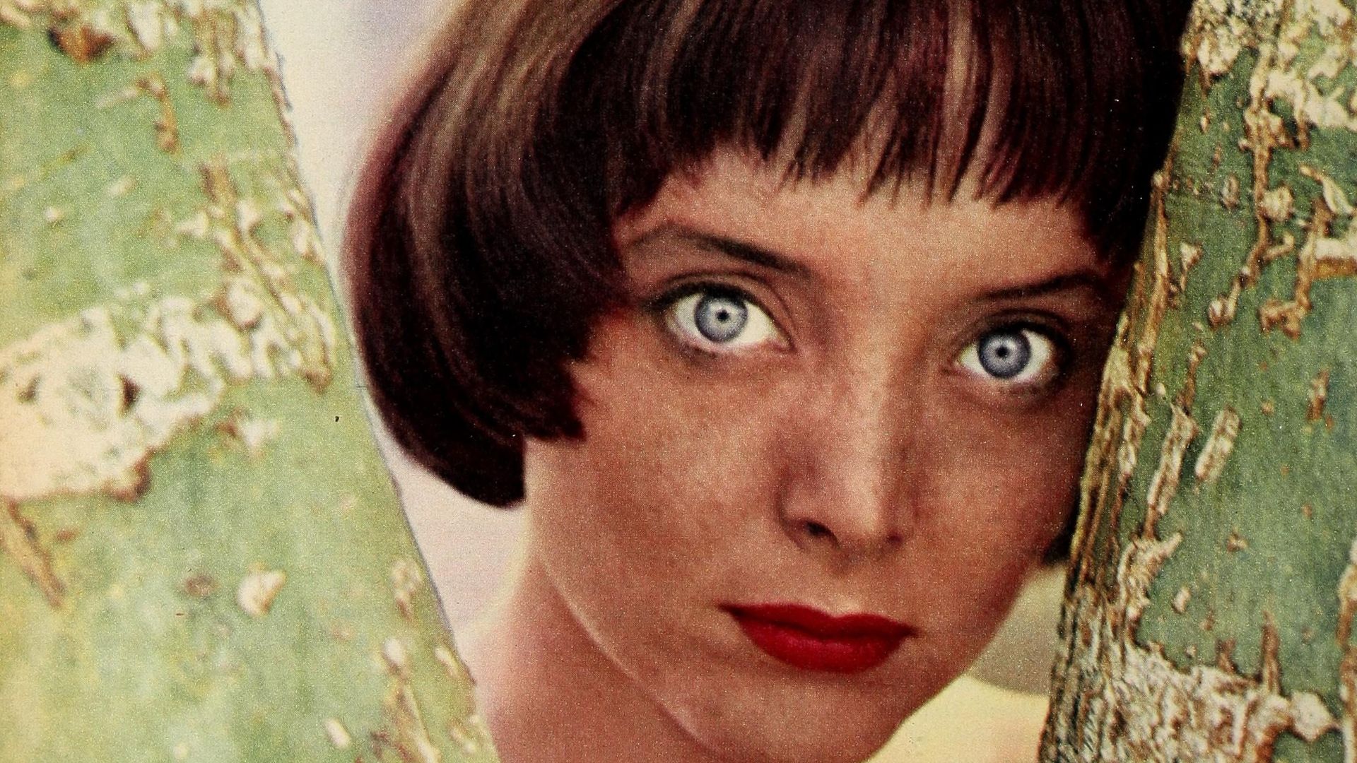 Carolyn Jones in Modern Screen, July 1958.