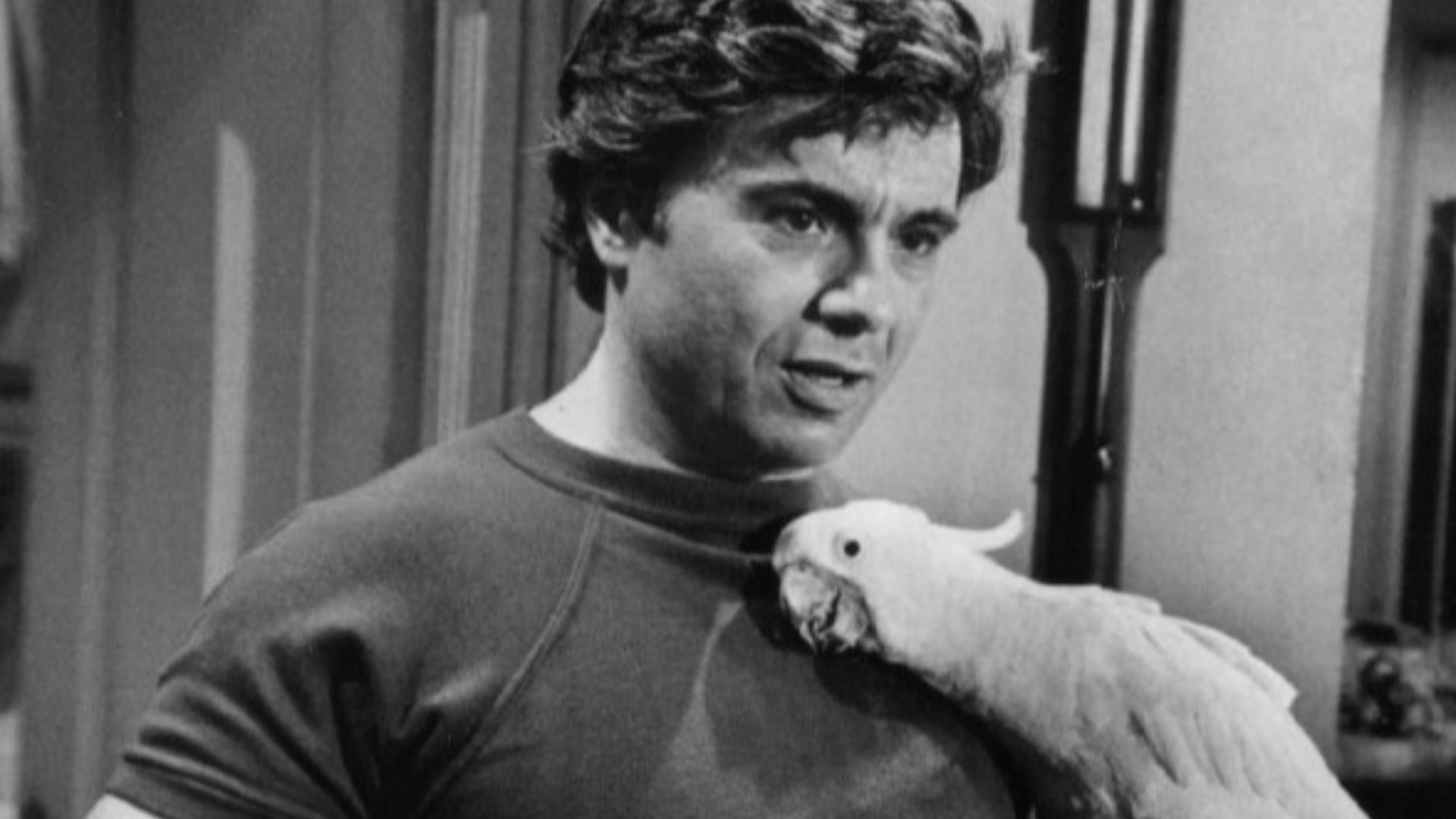 Photo of Robert Blake as Baretta and his cockatoo, Fred, from the television program Baretta.