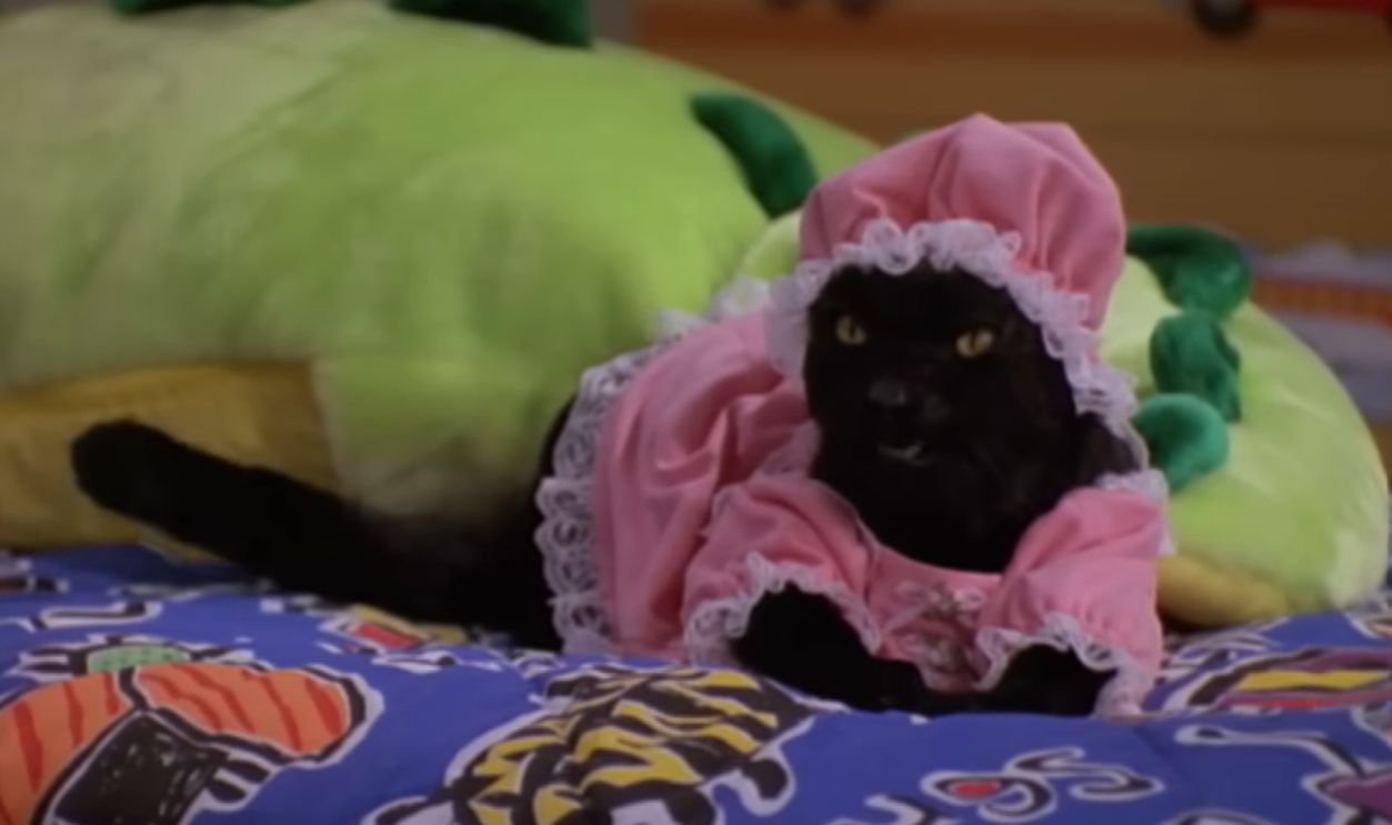 Screenshot from Sabrina The Teenage Witch (1970-1974)