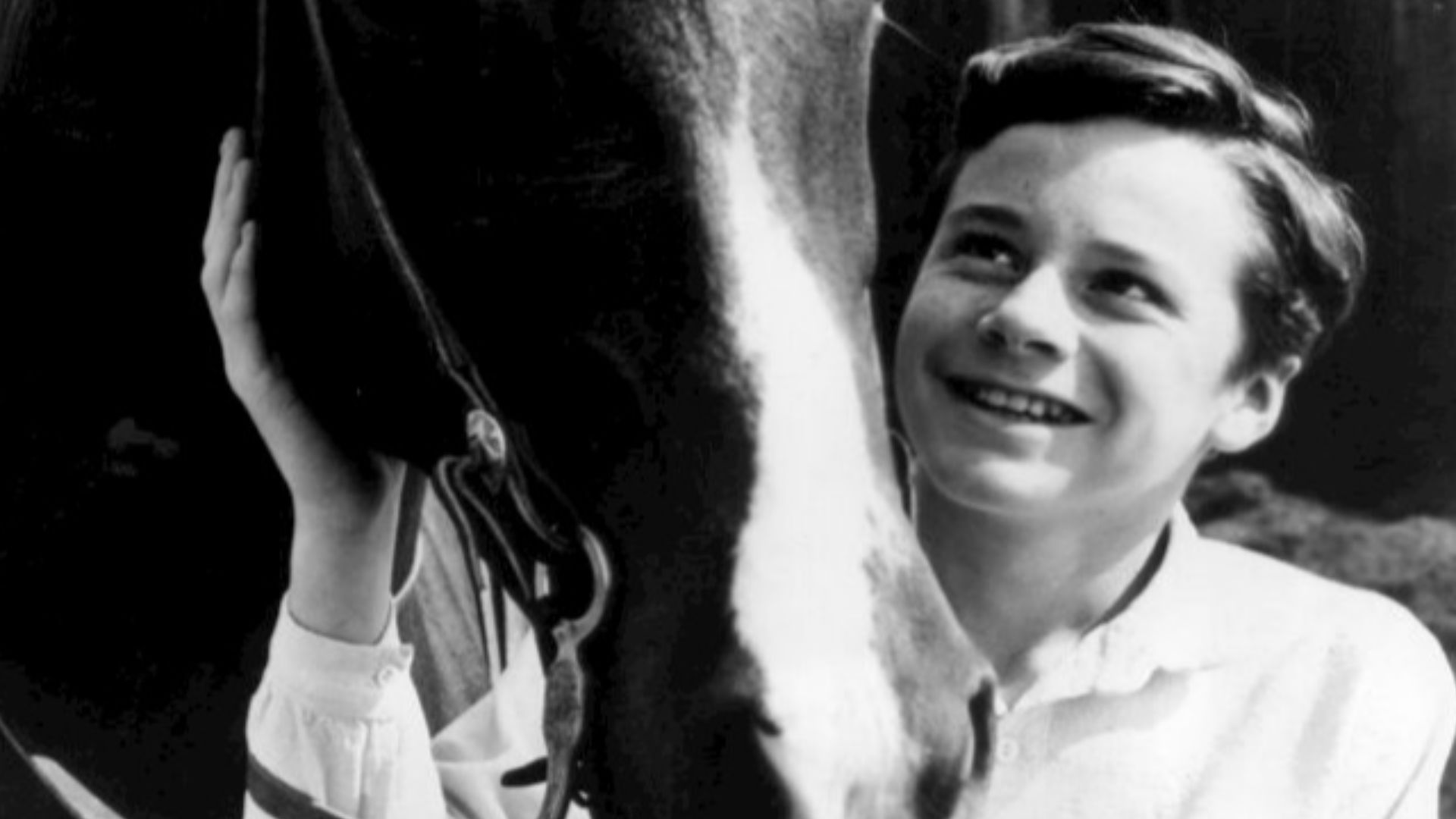 Photo of Johnny Washbrook from the television program My Friend Flicka.