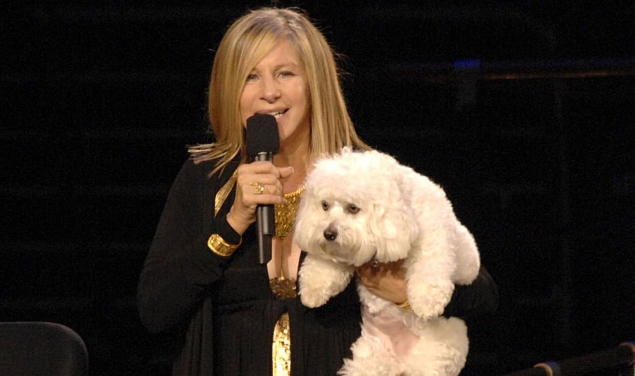 (EXCLUSIVE, Premium Rates Apply) Barbra Streisand and her dog Sammie 