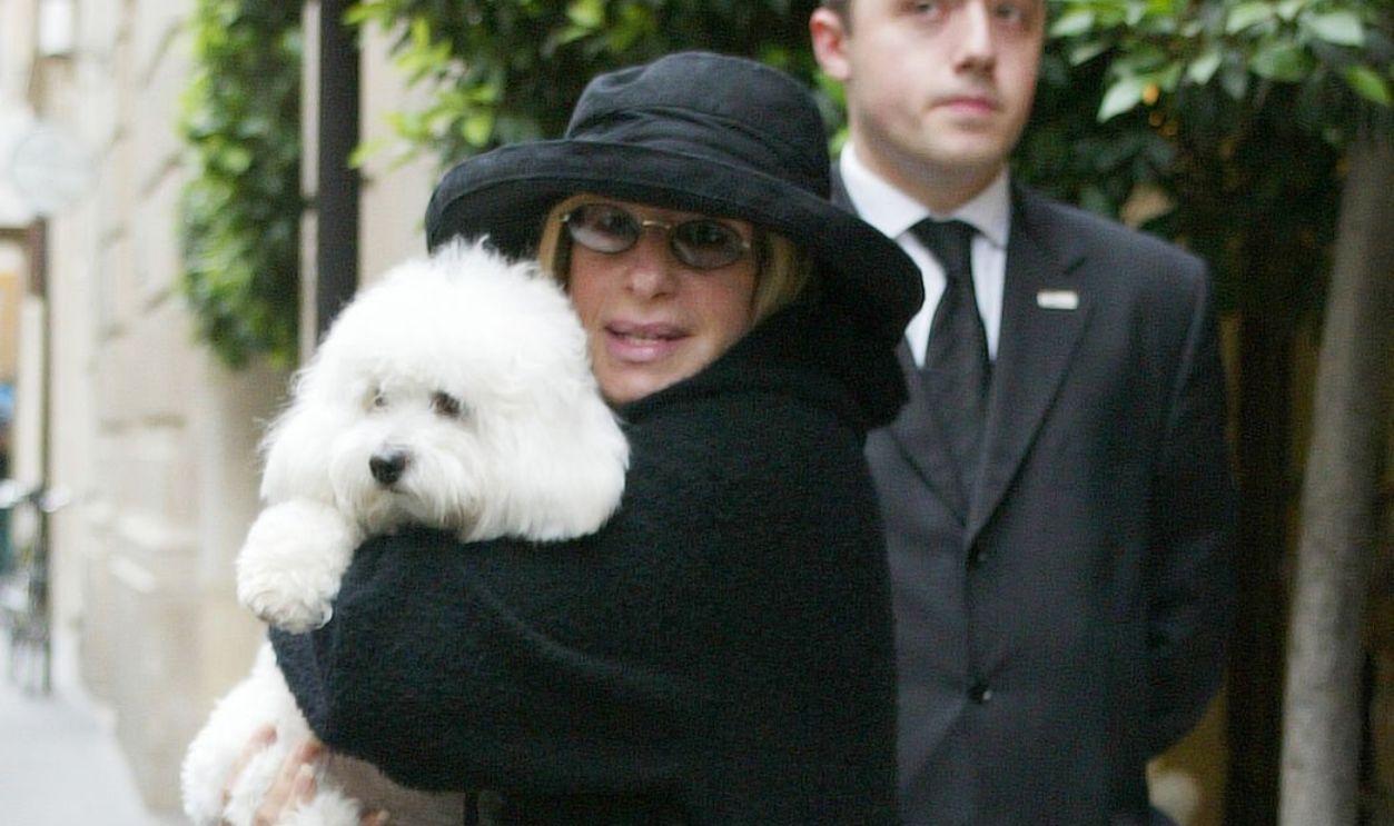 PARIS - JUNE 29: ***EXCLUSIVE*** Singer Barbra Streisand leaves the Hotel Meurice on June 30, 2007 in Paris, France.