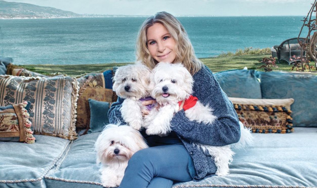 Barbra Streisand 