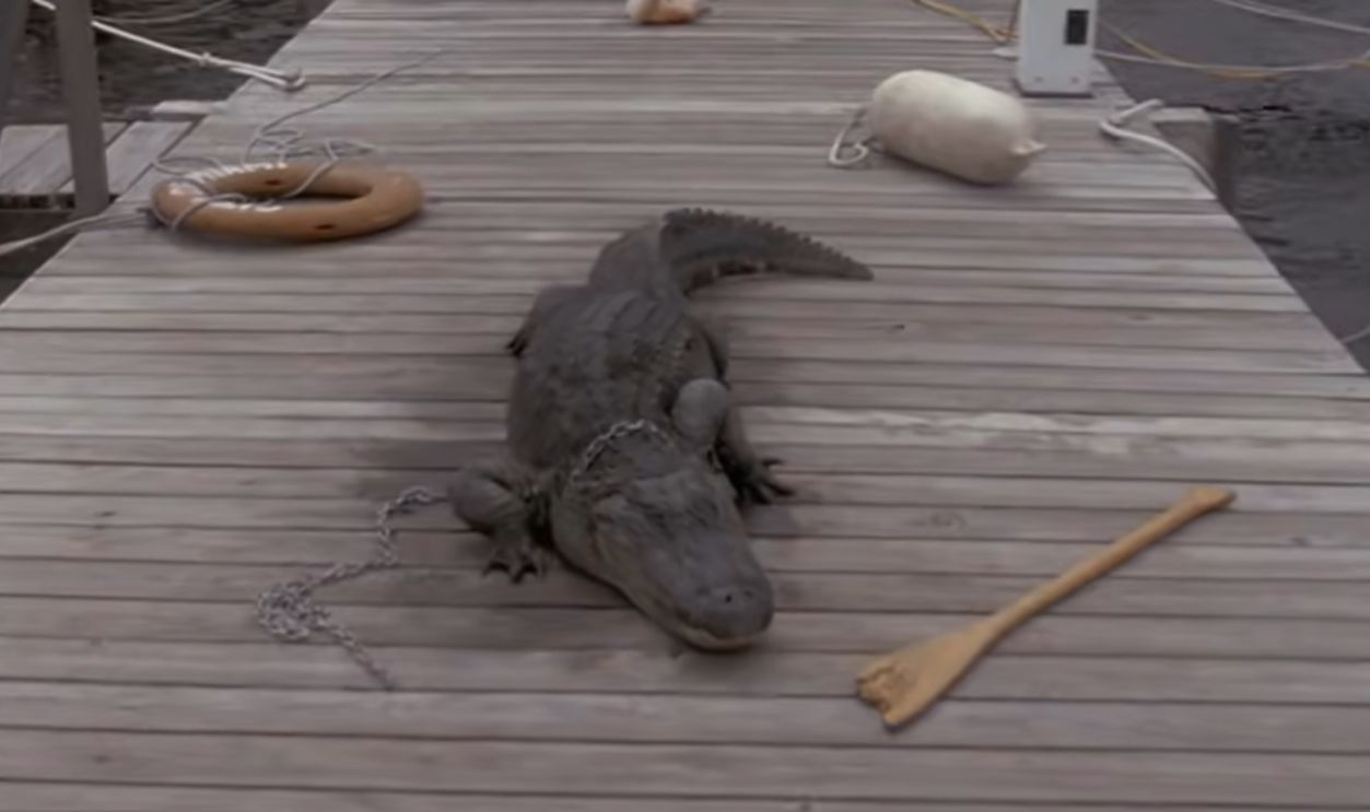 Screenshot from Miami Vice (1984-1989)
