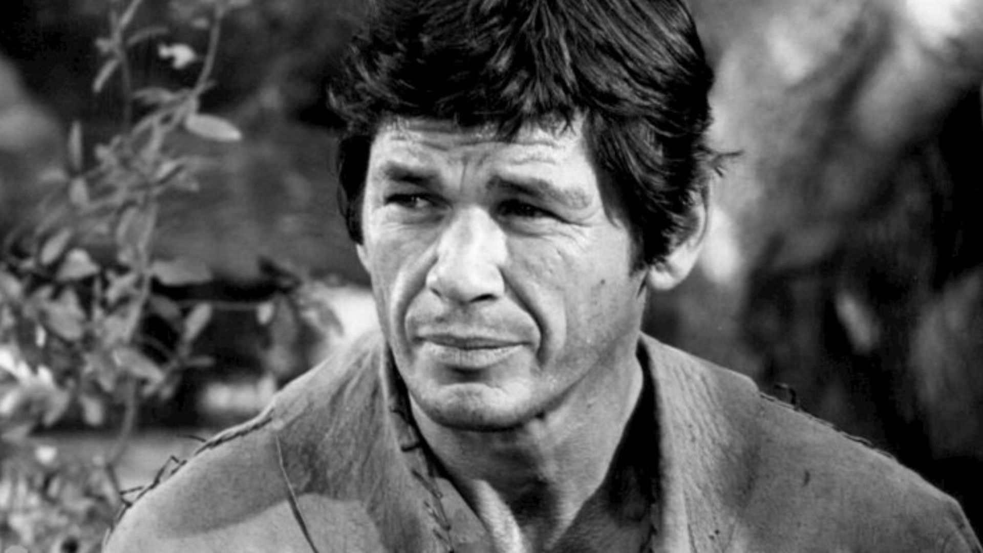 Photo of Charles Bronson as Linc, the wagonmaster, from the television program The Travels of Jaimie McPheeters.