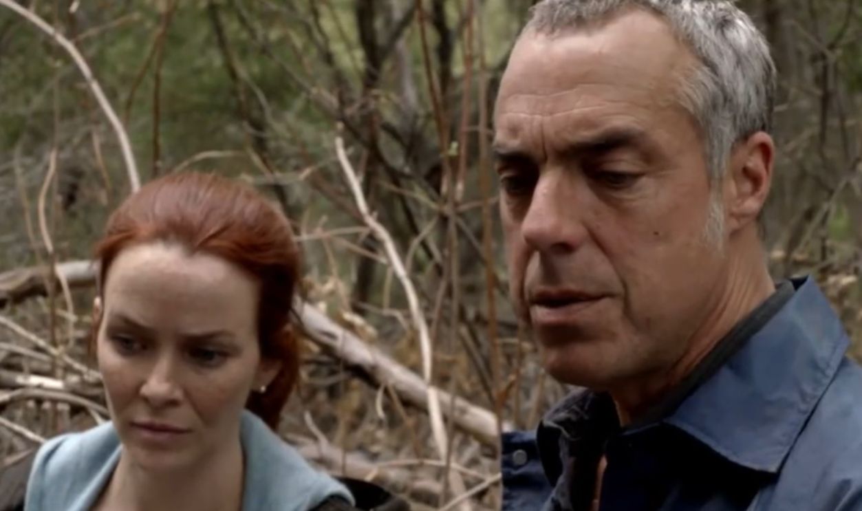 Screenshot from  Bosch (2014-2021) 