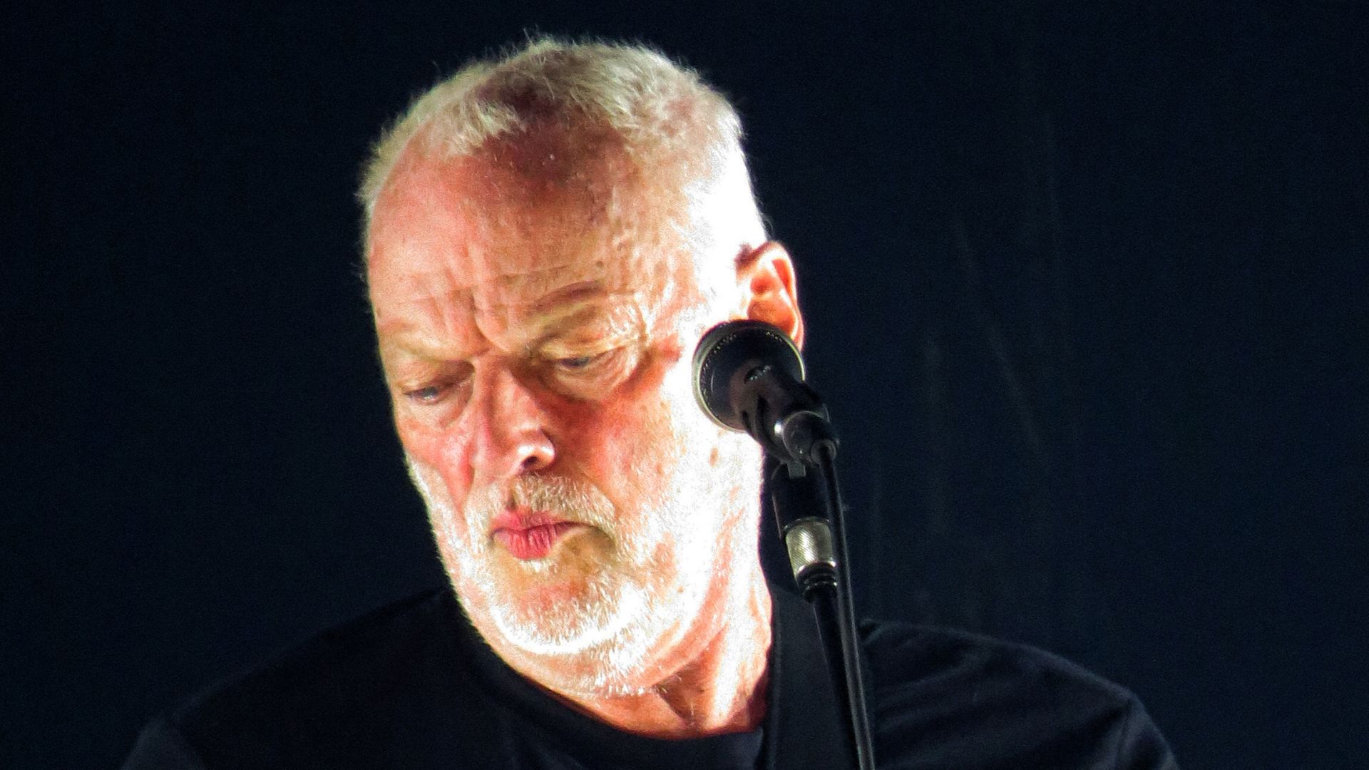 David Gilmour, onstage at Royal Albert Hall, London, October 2015