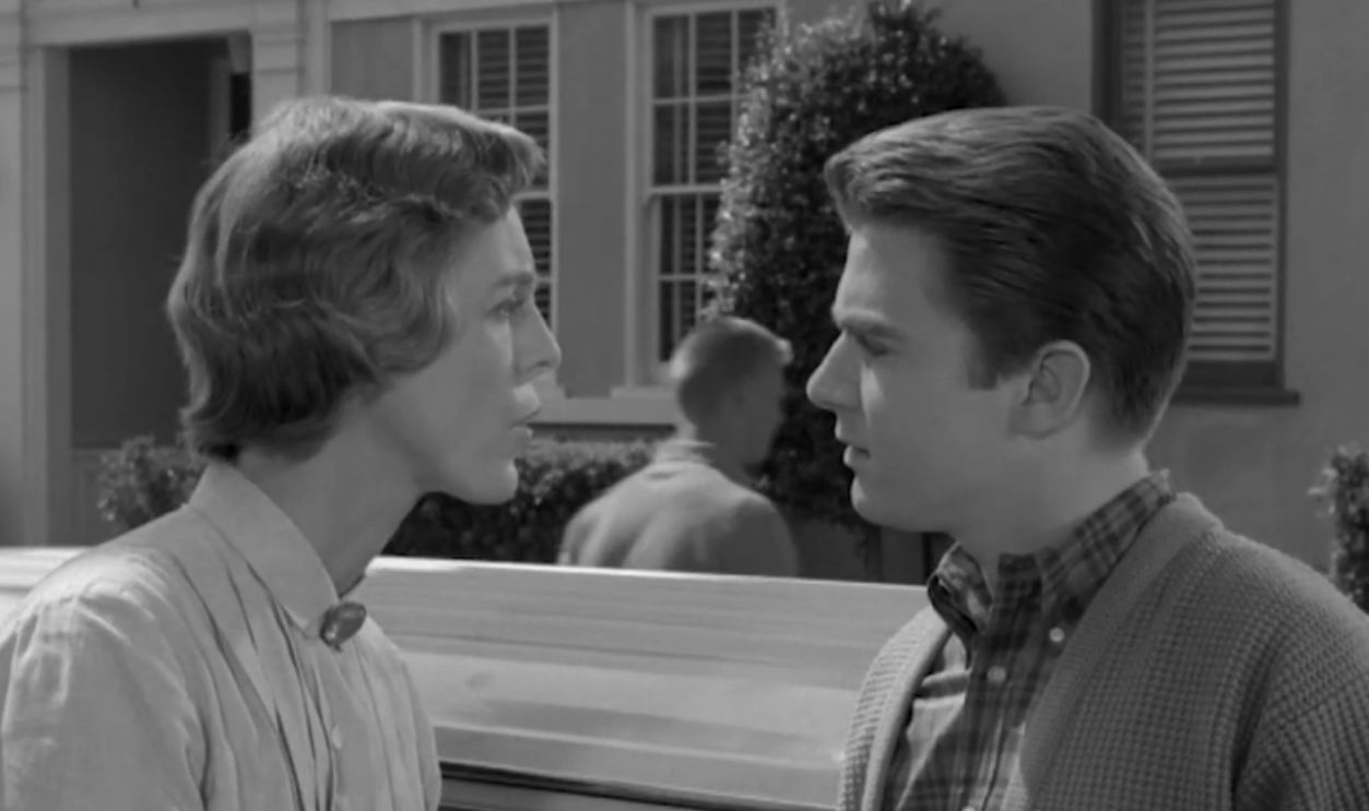 Screenshot from My Three Sons, ABC (1960–1965); CBS (1965–1972)