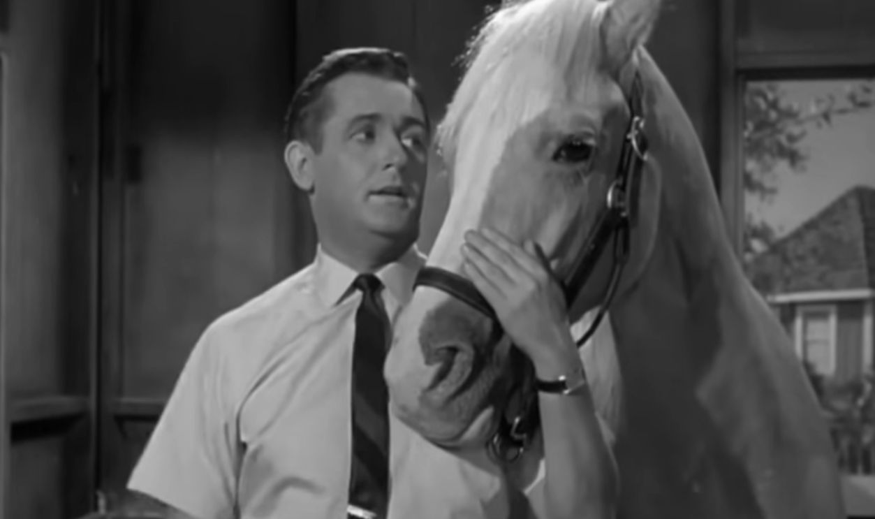 Screenshot from Mister Ed (1961–1966)