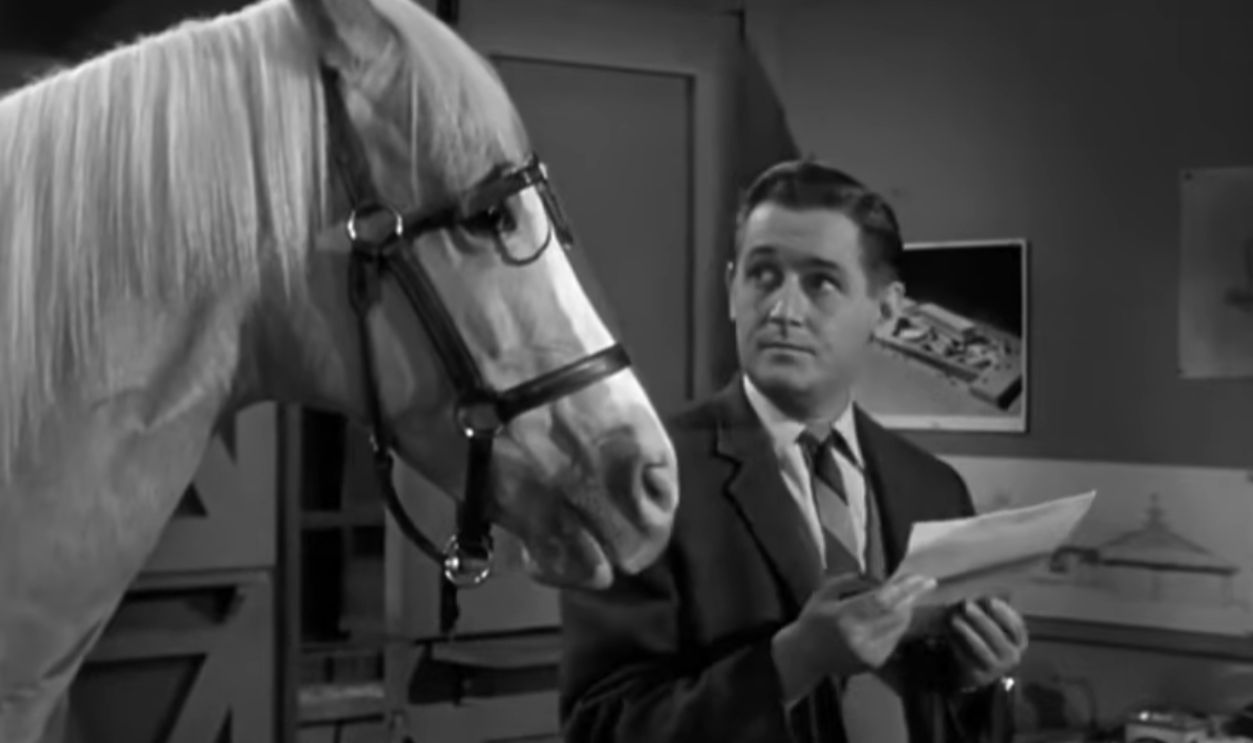 Screenshot from Mister Ed (1961–1966)
