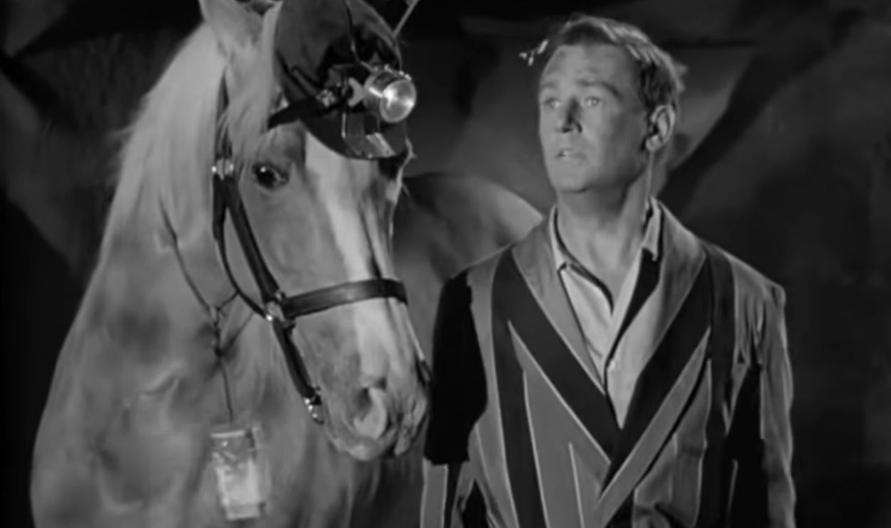 Screenshot from Mister Ed (1961–1966)