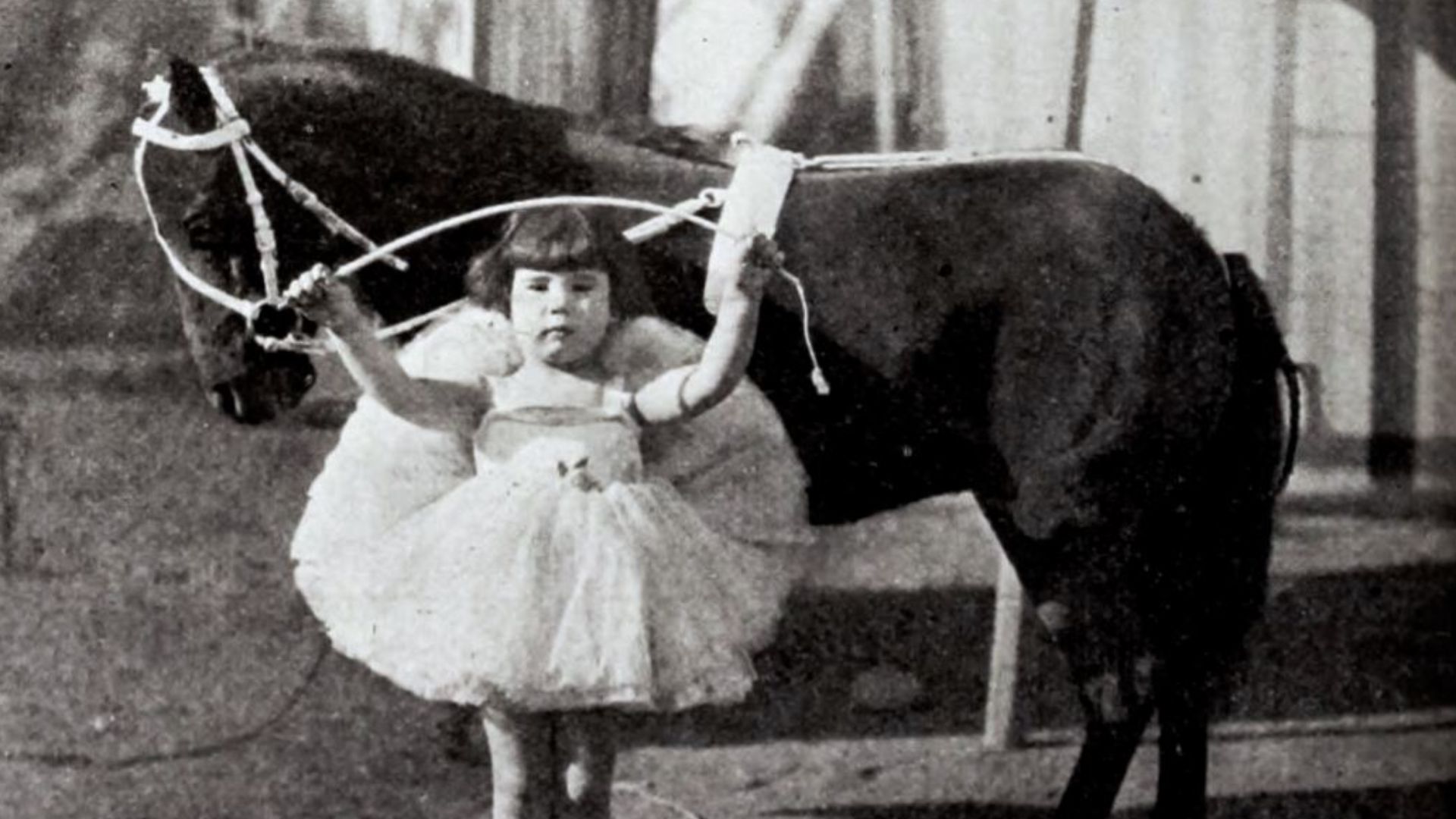 Still from the American short film Circus Clowns (1922) featuring Baby Peggy aka Diana Serra Cary, on page 42 of the February 4, 1922 Exhibitors Herald.