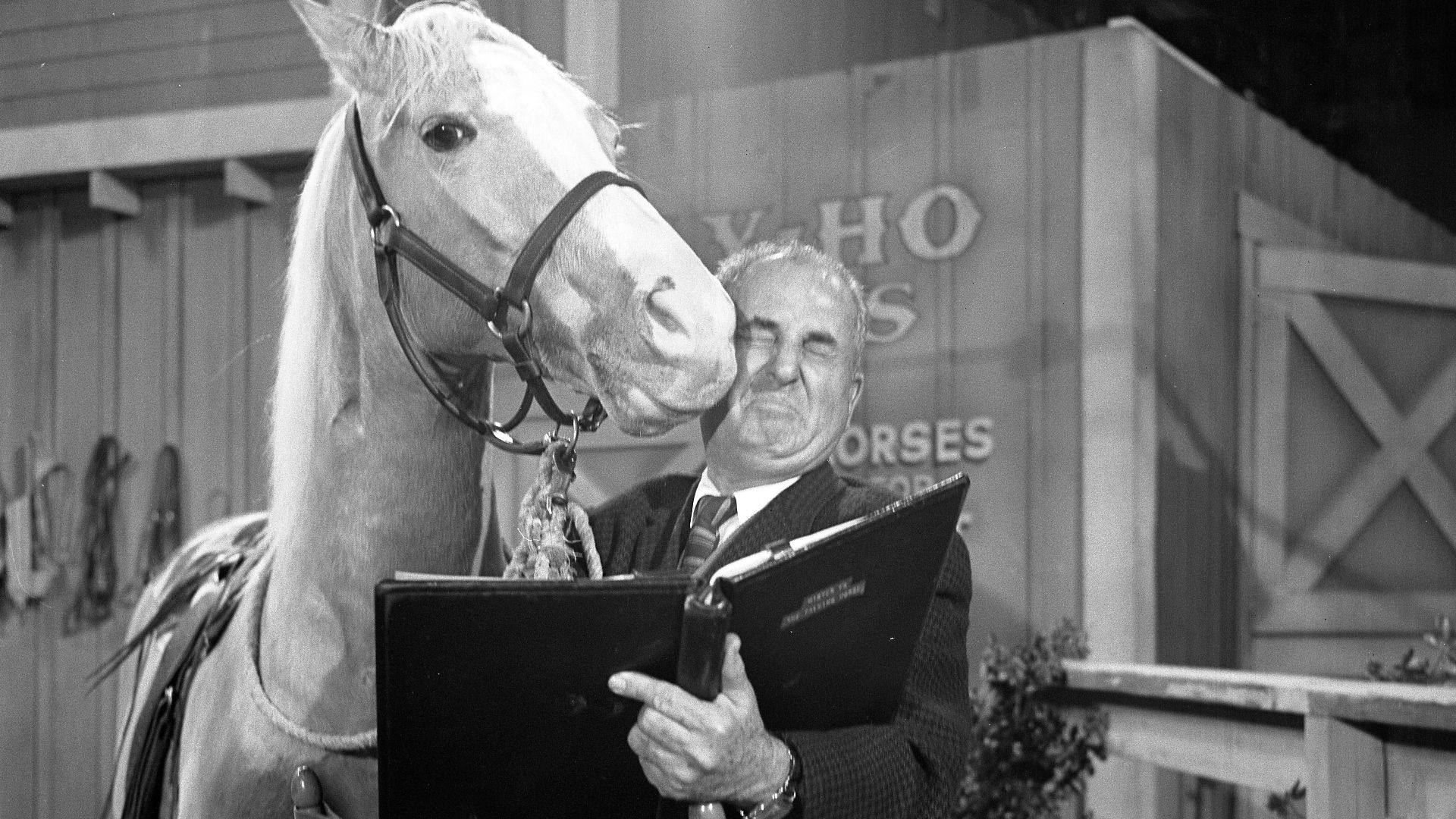 Arthur Lubin, film and TV director, being kissed by Mr. Ed
