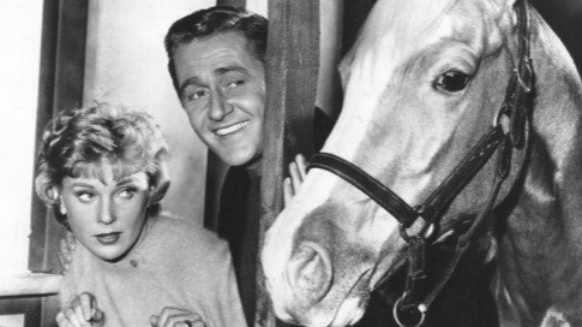 Photo of the main cast of the television program Mister Ed. From left-Connie Hines as Carole Post, Alan Young as Wilbur Post.