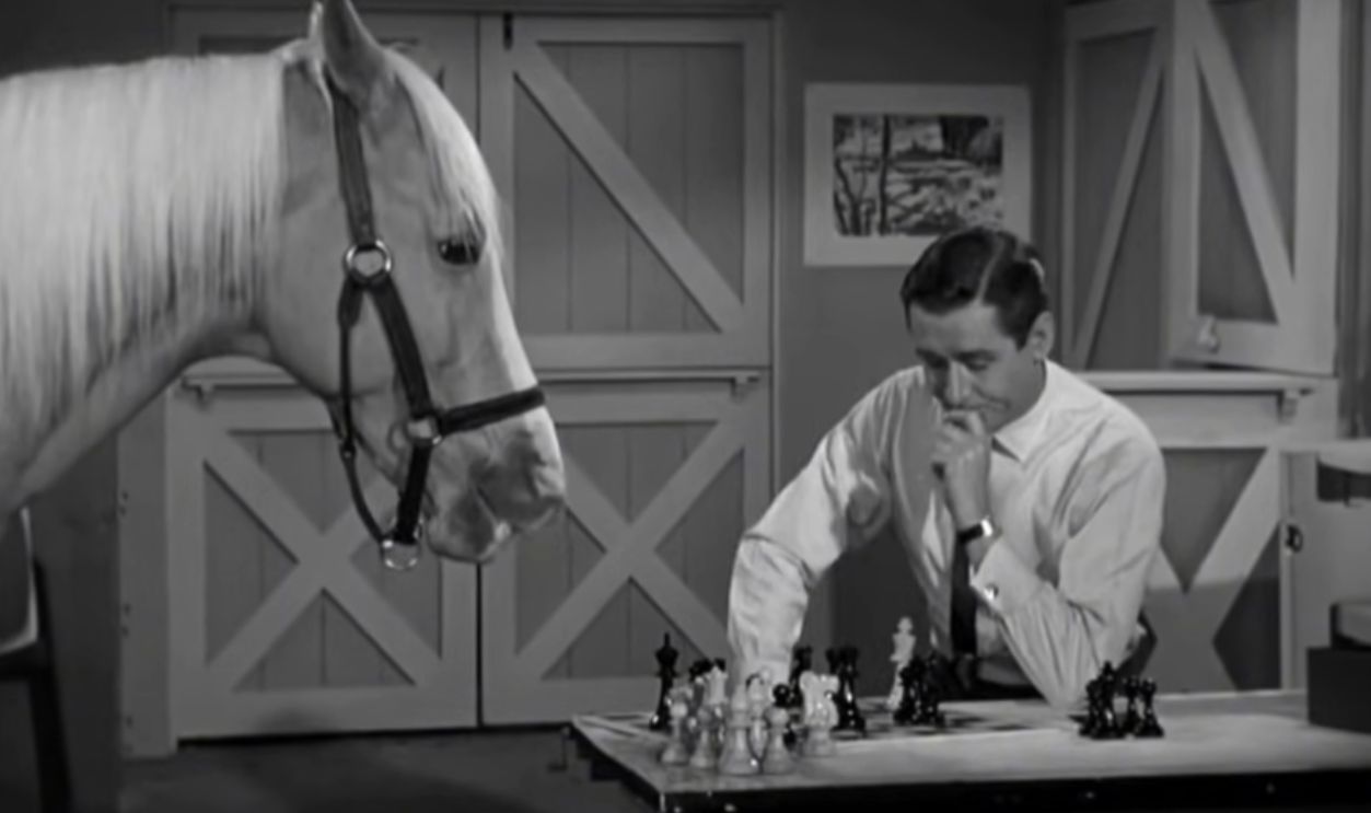 Screenshot from Mister Ed (1961–1966)