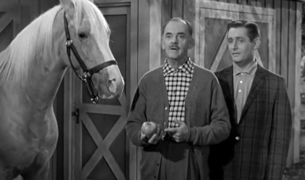 Screenshot from Mister Ed (1961–1966)