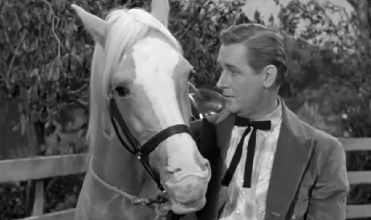 Screenshot from Mister Ed (1961–1966)