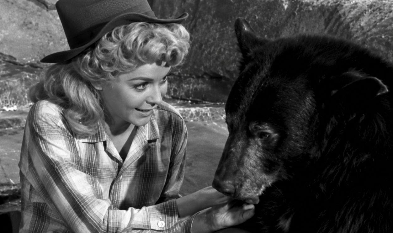 Screenshot from The Beverly Hillbillies  (1962-1971) 