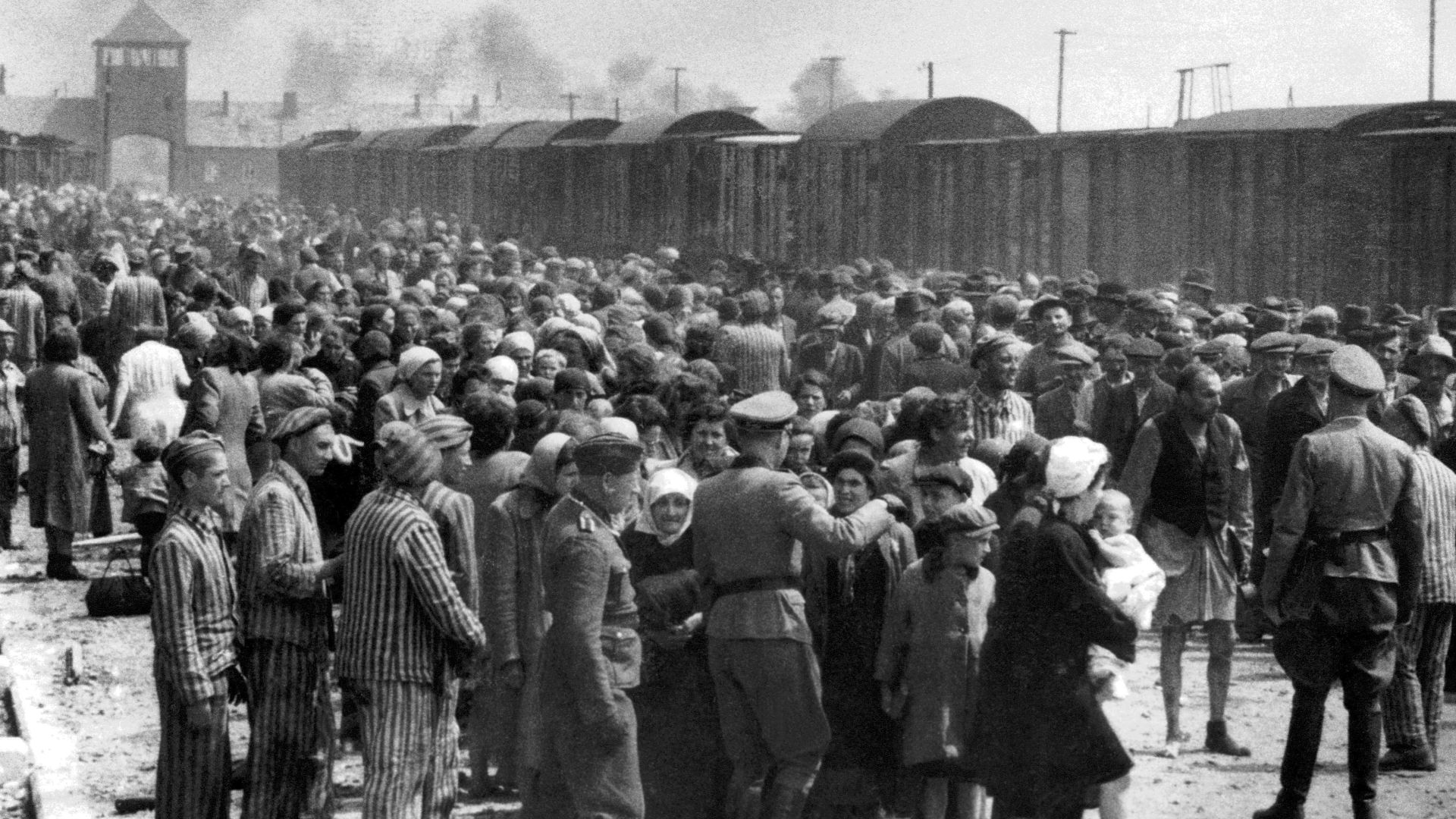 File:Selection on the ramp at Auschwitz-Birkenau, 1944 (Auschwitz Album) 1b.jpg