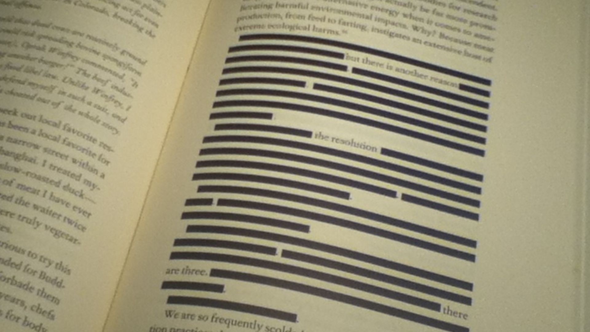 One of two censored sections of the 2012 environmental book Green Illusions by Ozzie Zehner. State laws forced the University of Nebraska Press to black-out sections of the book to be sold in the United States.