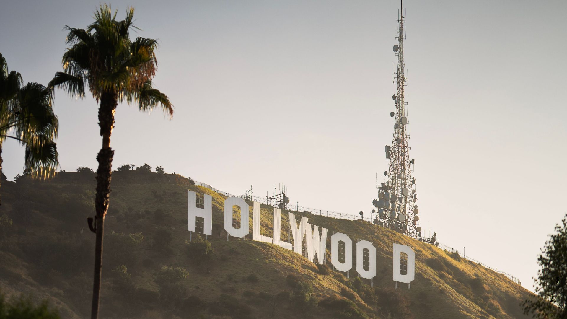 Sunlit view of the famous Hollywood Sign on a hilltop surrounded by palm trees in Los Angeles, California.