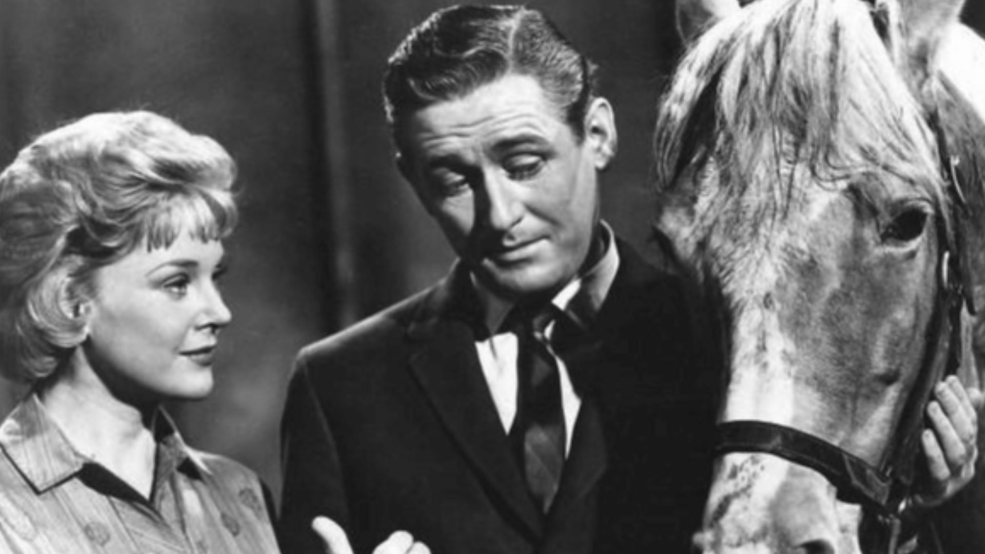 Photo of the main cast of the television program Mister Ed.  From left-Connie Hines as Carole Post, Alan Young as Wilbur Post.