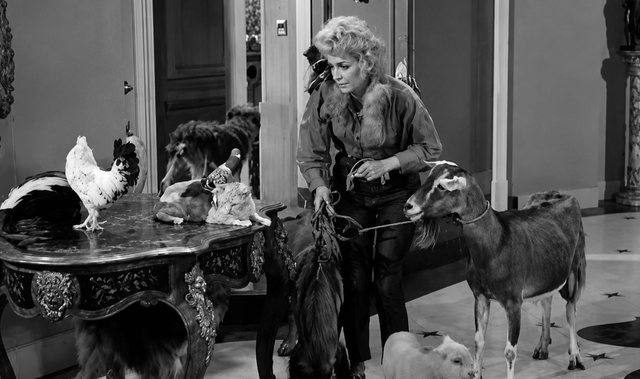 Screenshot from The Beverly Hillbillies  (1962-1971) 