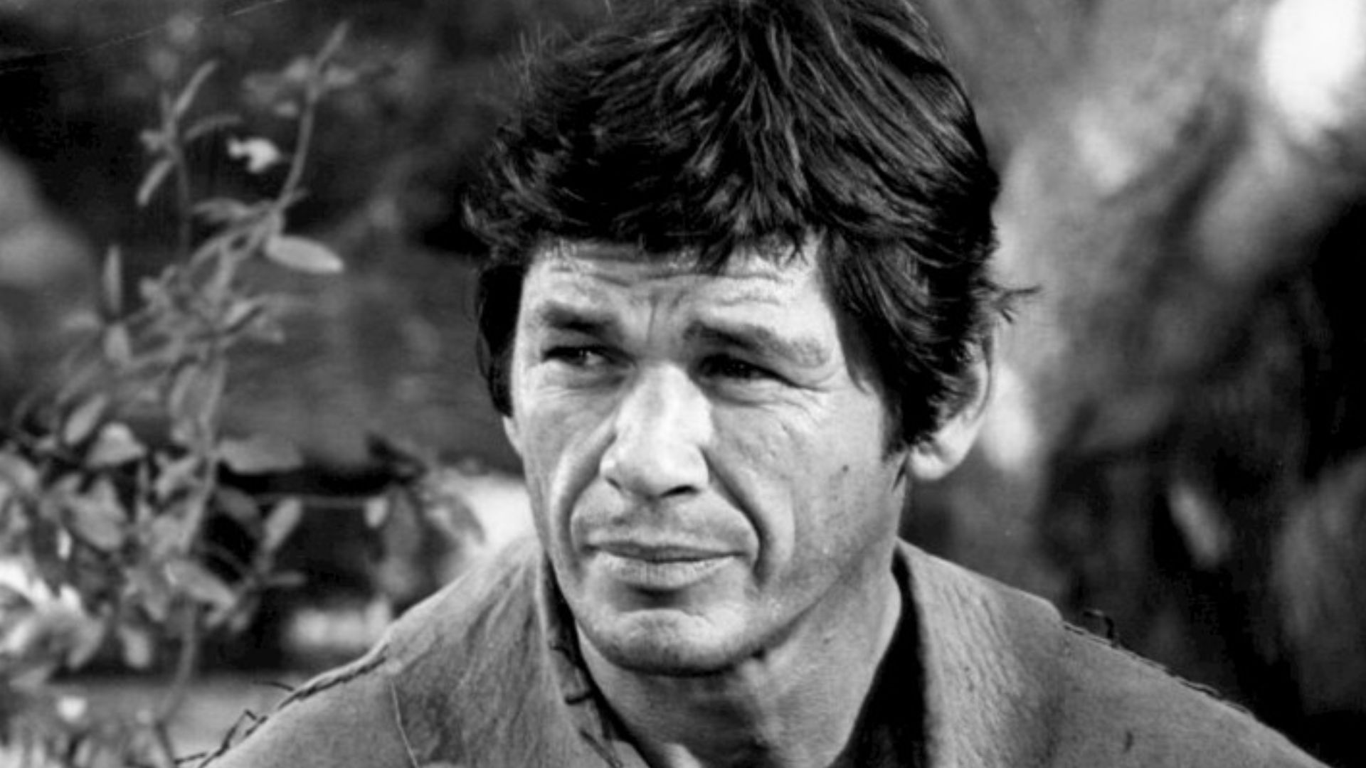 Photo of Charles Bronson as Linc, the wagonmaster, from the television program The Travels of Jaimie McPheeters.