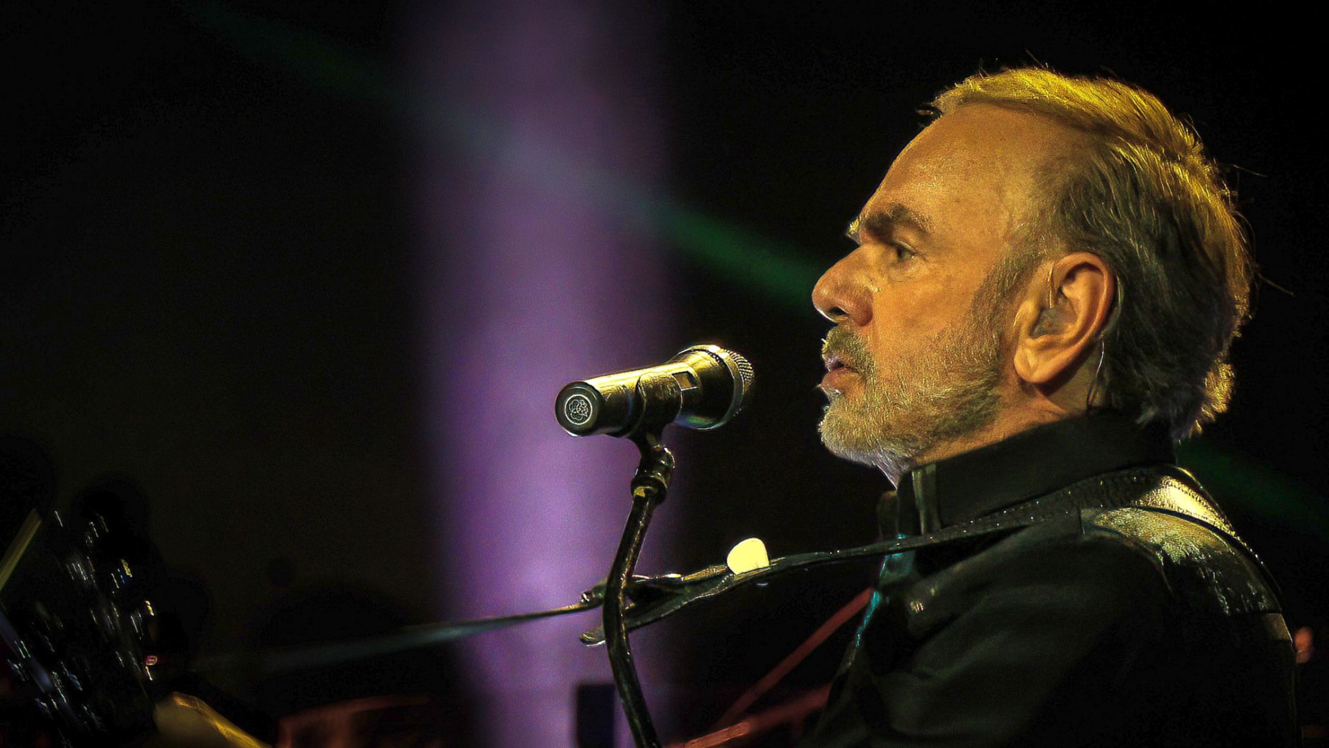 Neil Diamond in Concert 2015