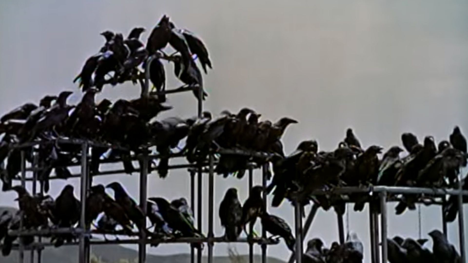 Scene from