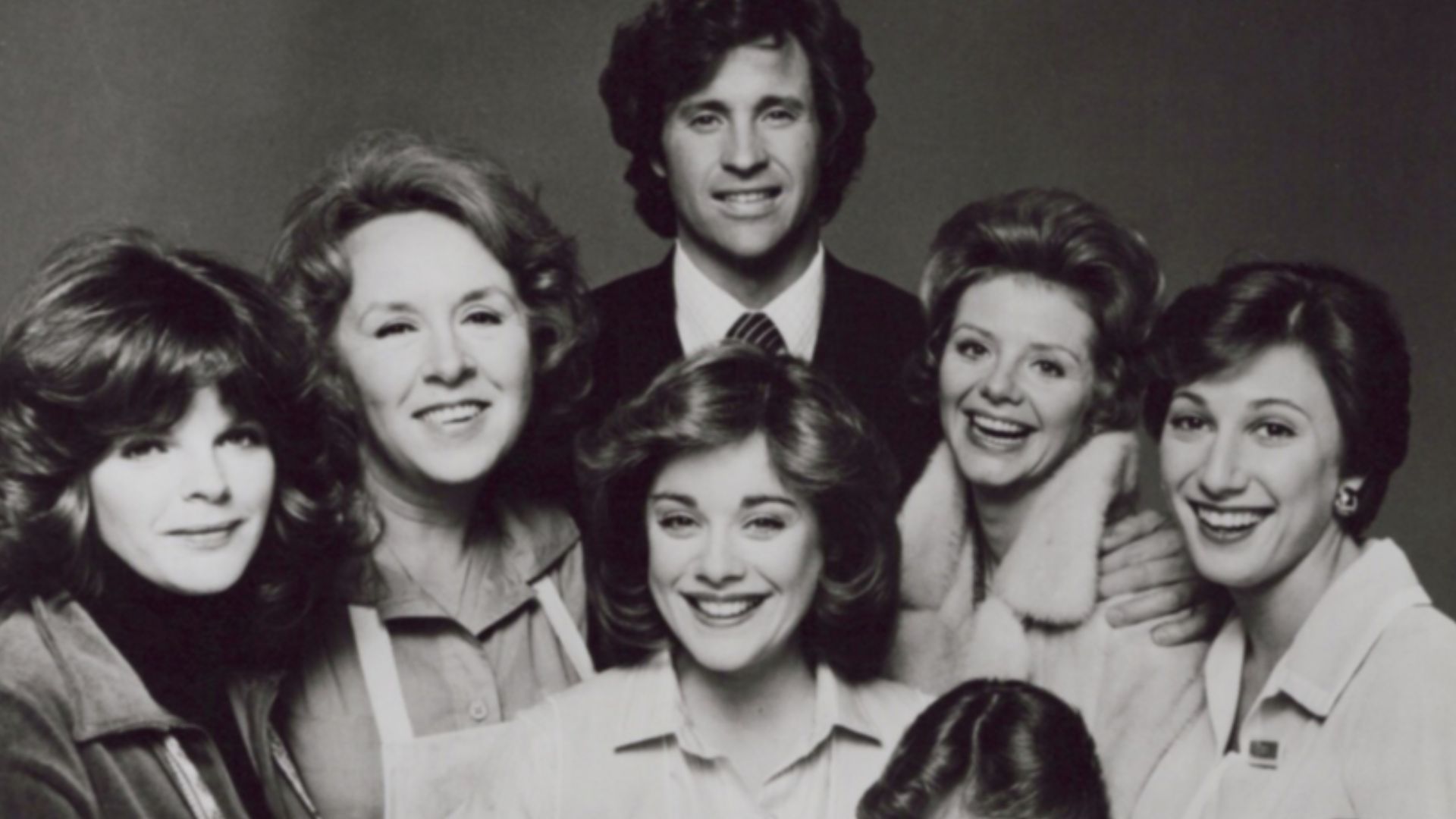 They're the cast of the ABC Television Network's hit new comedy series,
