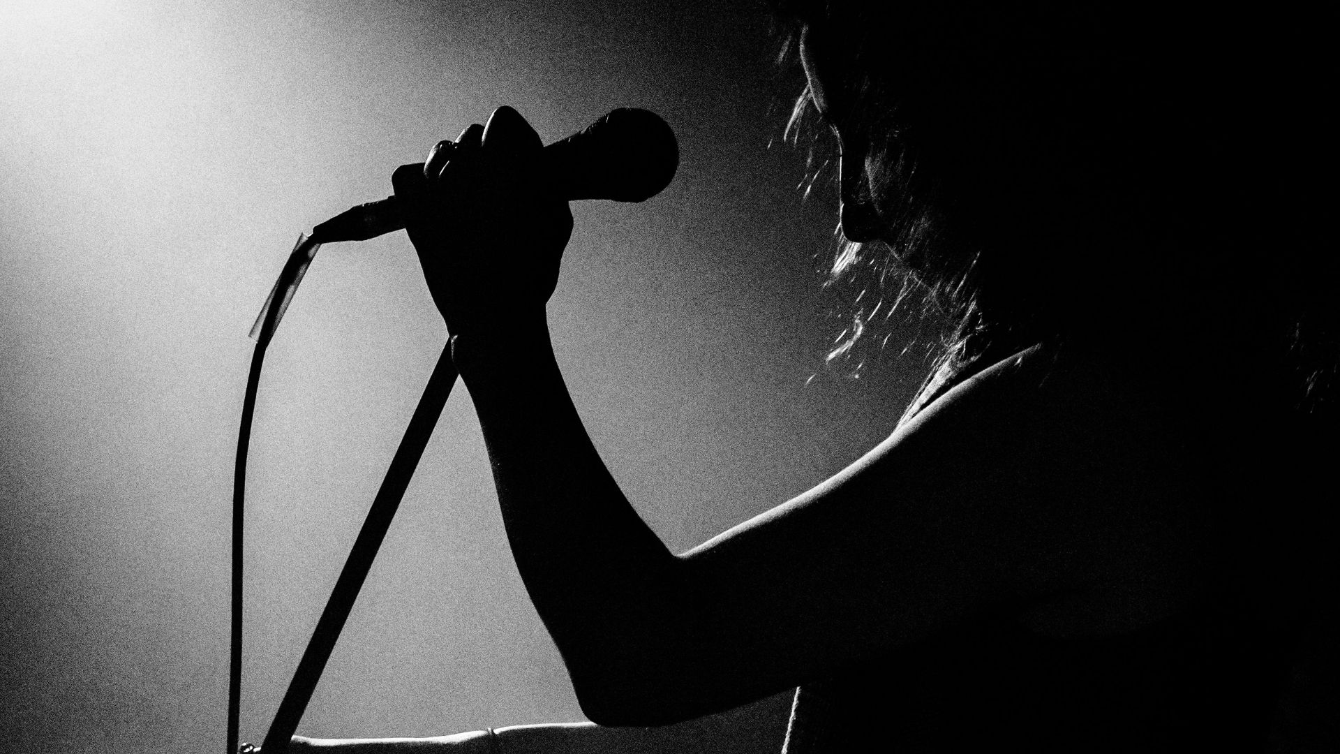 Black and white silhouette of a singer holding a microphone during a concert.