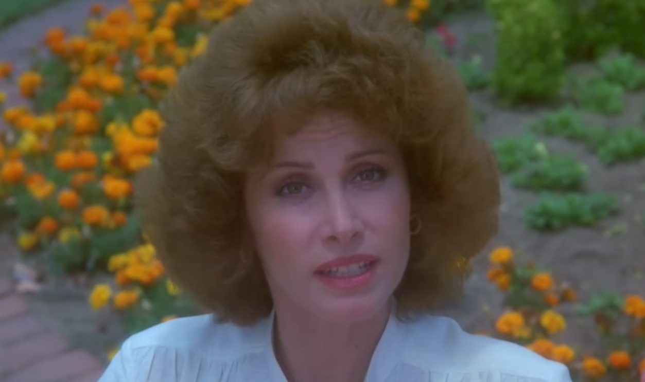 Screenshot from Hart to Hart, Columbia Pictures Television (1979–1984)