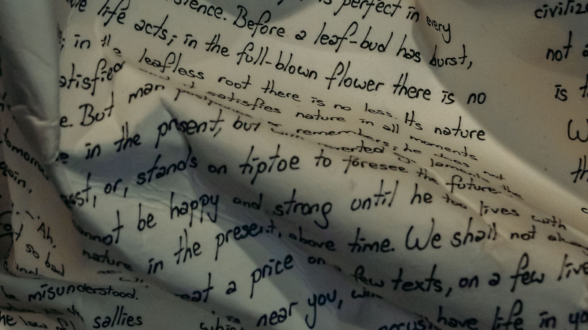 Detailed close-up of a fabric with handwritten text, featuring wrinkles and English script.