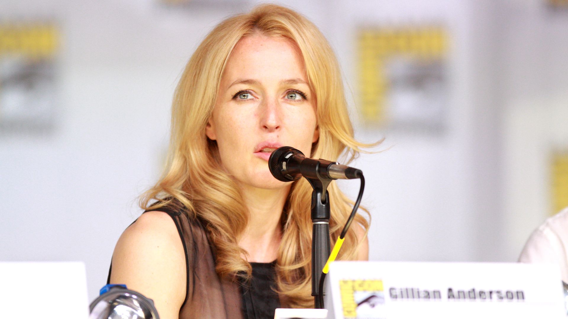 Gillian Anderson speaking at the 2013 San Diego Comic Con International, for