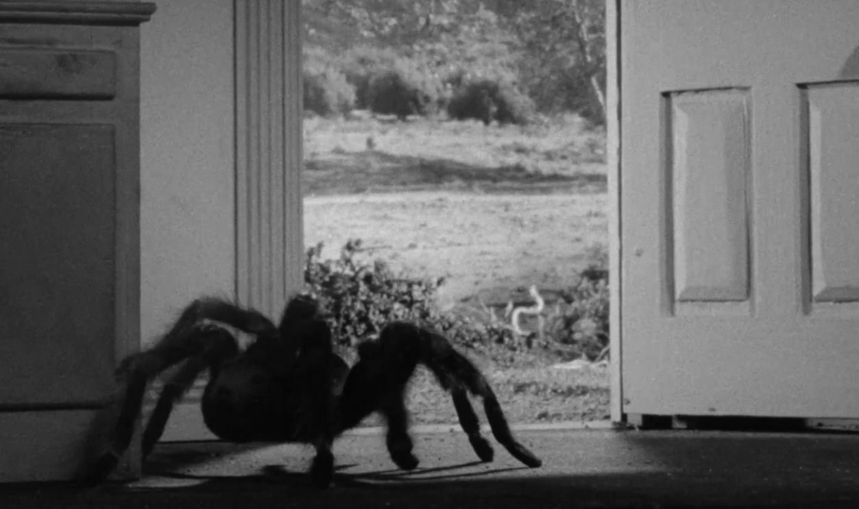Screenshot from Tarantula, Universal-International (1955)