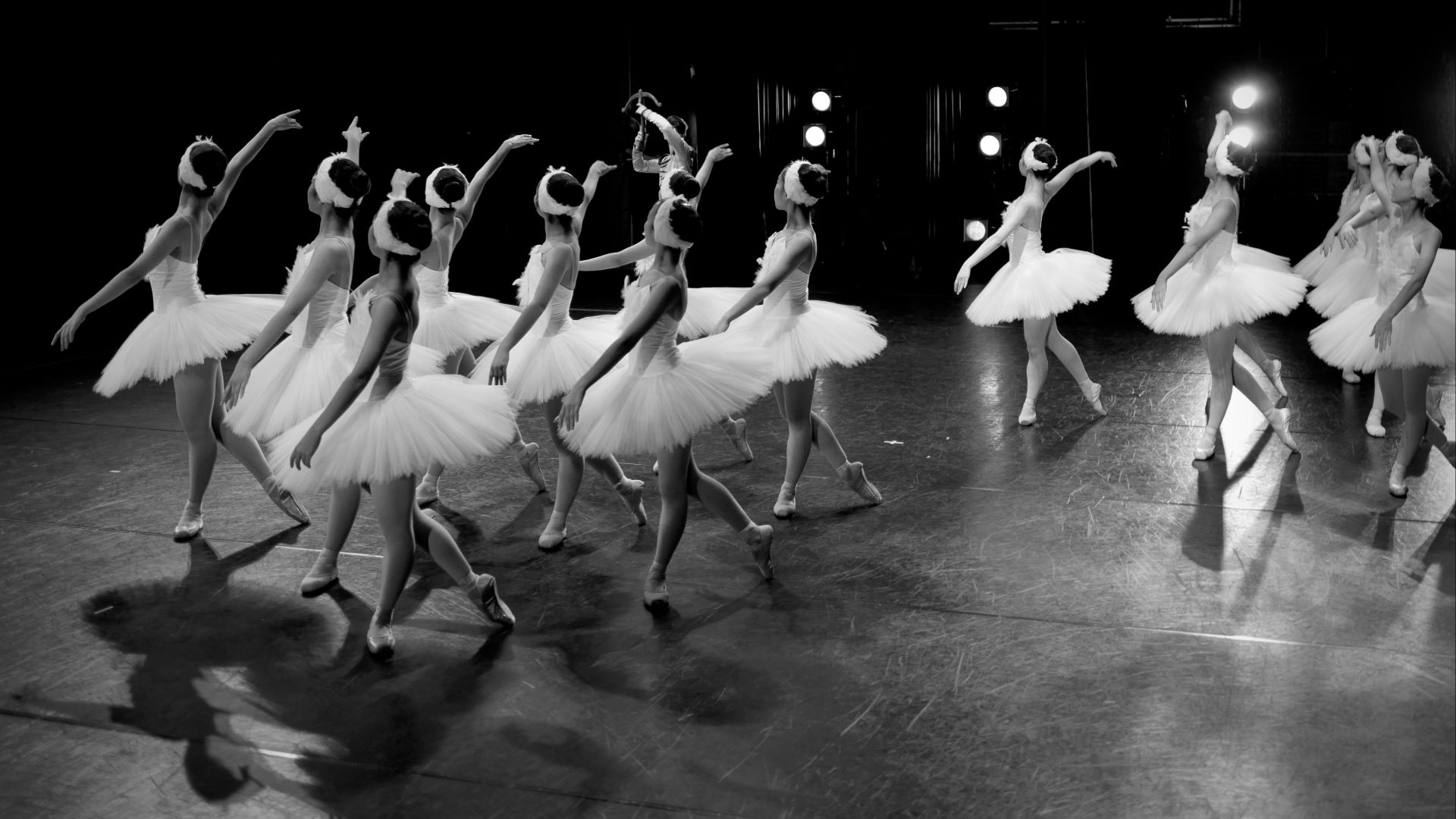 grayscale photo of flock of birds