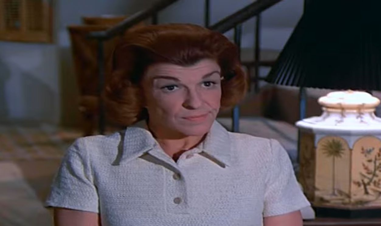 Screenshot from McMillan & Wife (1971–1977)
