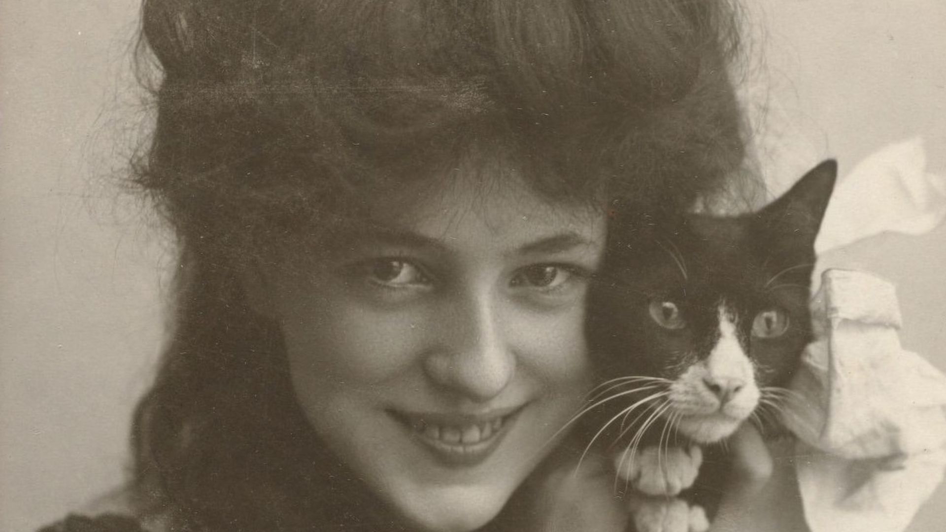Photograph of American model and actress Evelyn Nesbit (1884–1967) holding a cat. By Otto Sarony. Labeled
