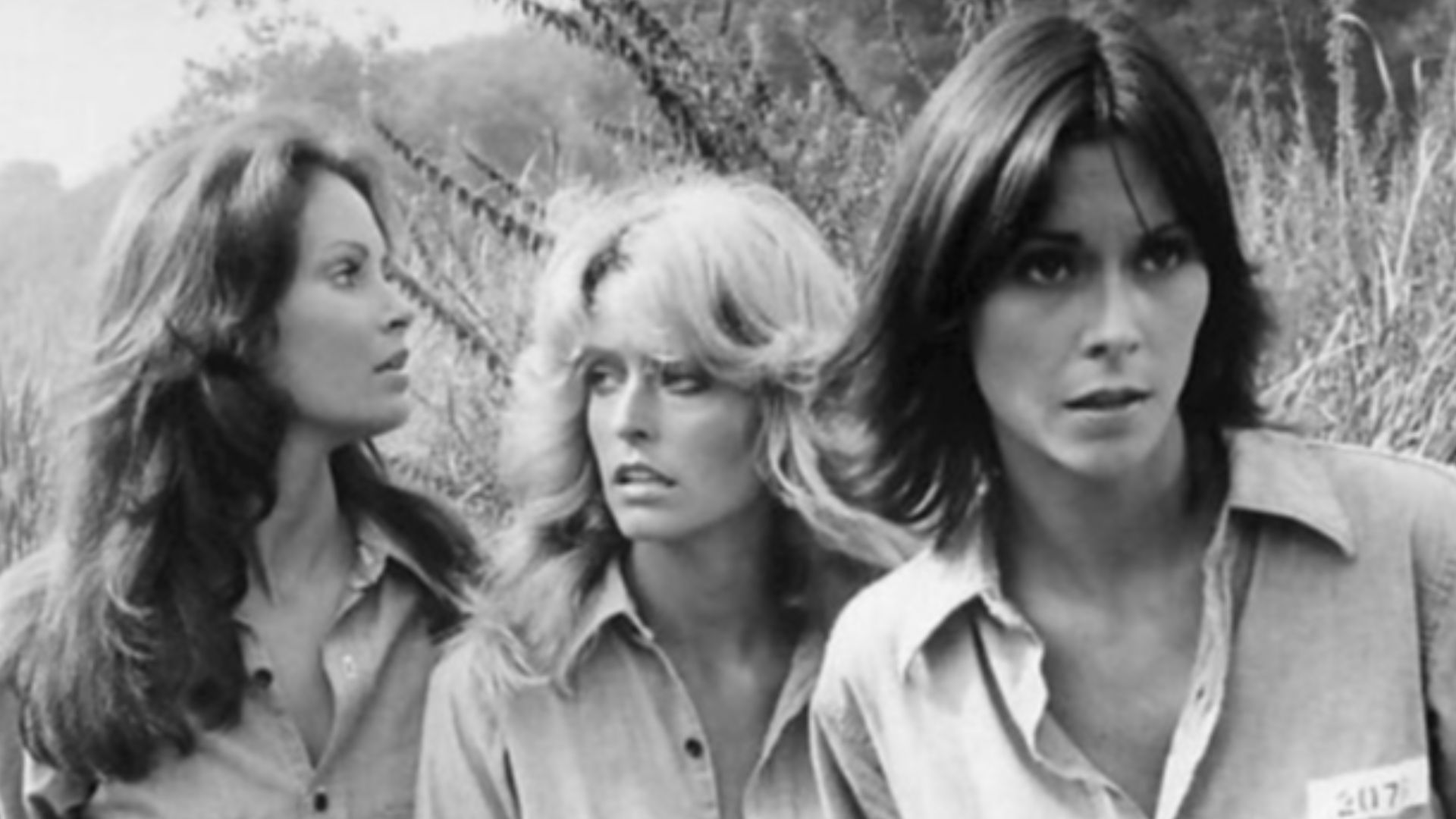Photo of the original cast of the television series Charlie's Angels.  From left:Jaclyn Smith (Kelly Garrett), Farrah Fawcett (Jill Munroe, credited as