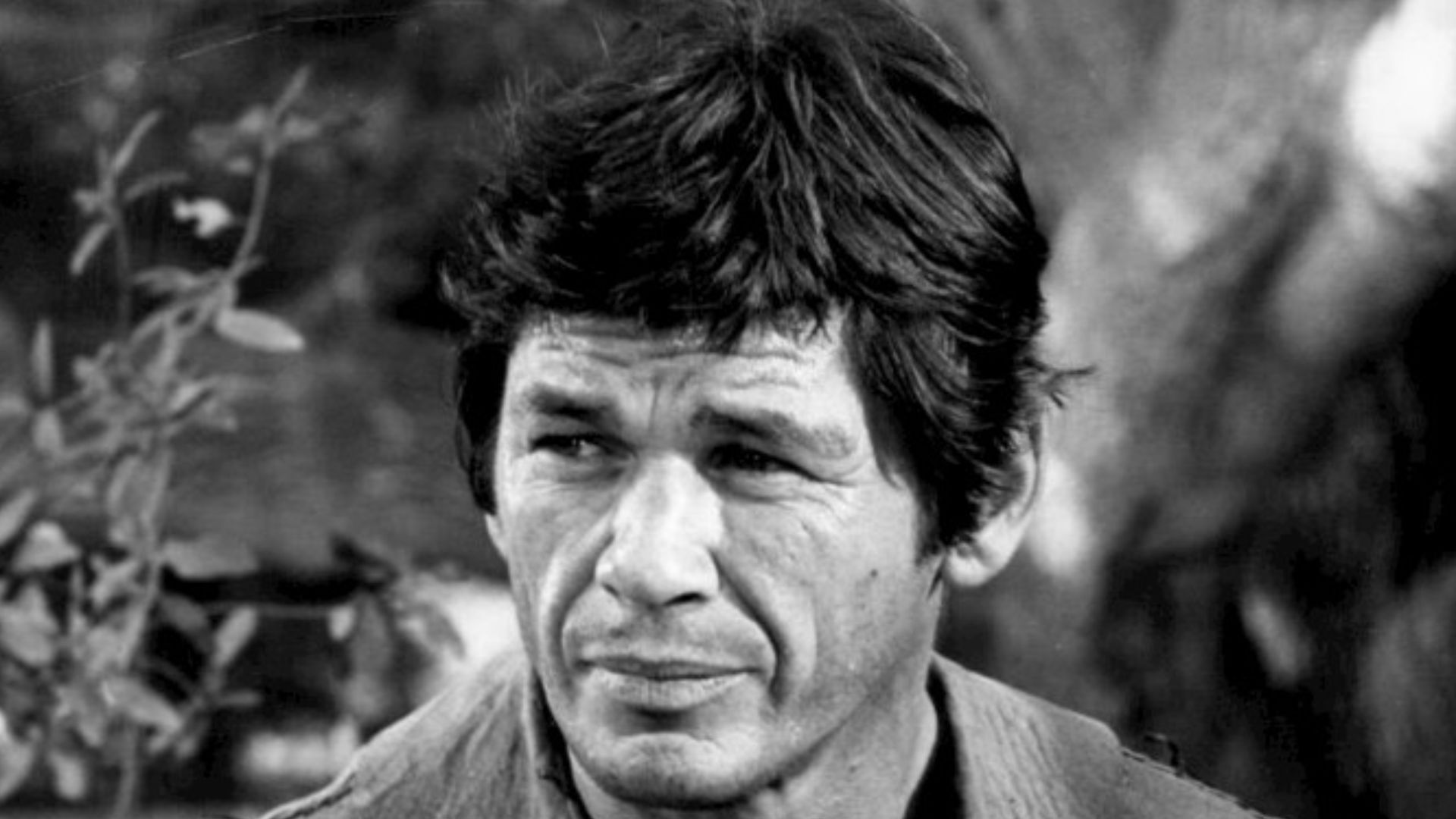 Photo of Charles Bronson as Linc, the wagonmaster, from the television program The Travels of Jaimie McPheeters.