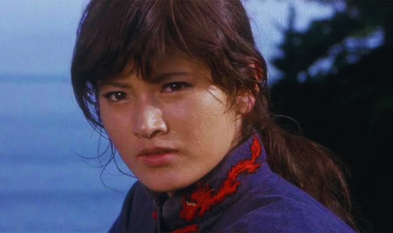 Screenshot from Sister Street Fighter (1974)